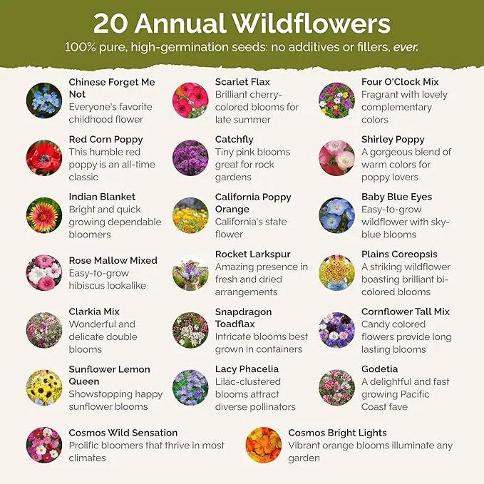 Eden Brothers All Annual Wildflower Mixed Seeds for Planting, 50 lb, 24,000,000+ Seeds with Sunflower, Indian Blanket | Attracts Pollinators, Plant in Spring or Fall, Zones 3, 4, 5, 6, 7, 8, 9, 10 by GreenHaven Gardens