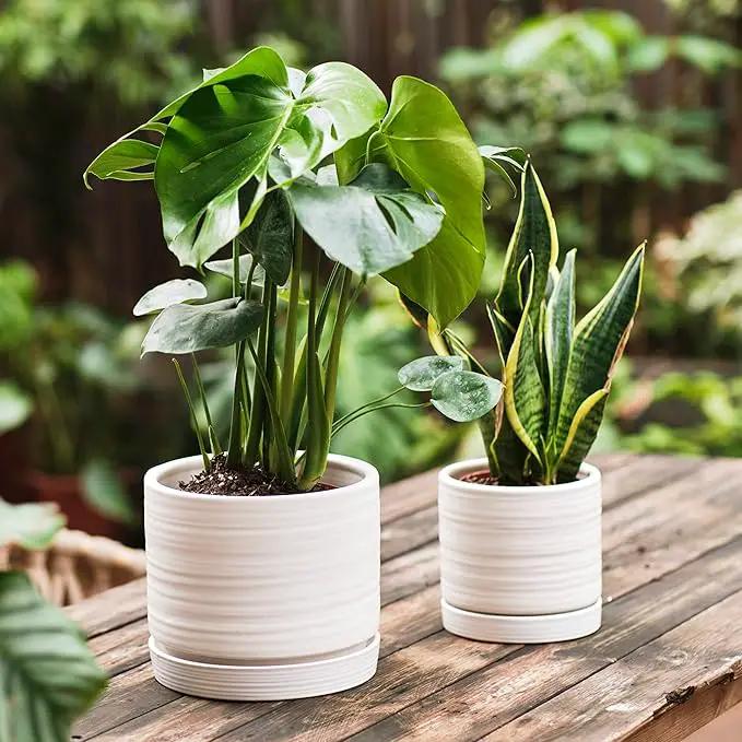 6 + 8 Inch Plant Pots, Ceramic Planter Pot with Drainage Hole & Saucer, Indoor/Outdoor Cylinder Round Planter Pot, Matte White by GreenHaven Gardens