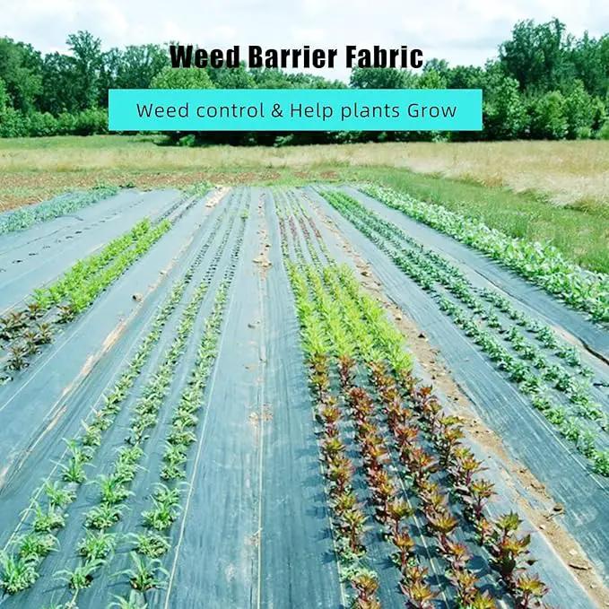 6.5 Ft x 300 Ft Heavy Duty Weed Barrier Landscape Fabric, 3Oz Professional Grade Weed Barrier Fabric for Gardening, Erosion Control & Construction, Durable Polypropylene Ground Cover by GreenHaven Gardens