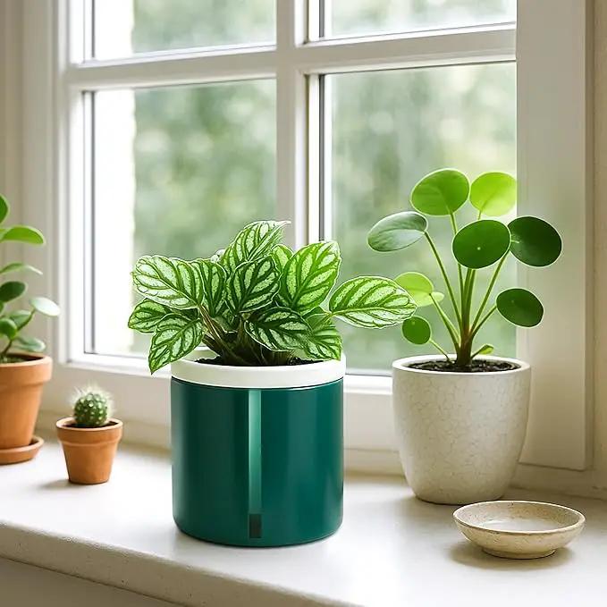 D'vine Dev 4 Inch Design Self Watering Planter for Indoor Plants, White Terracotta Pot with Teal Cylinder Glass Cup, Set of 3,37-Z-A-5-T by GreenHaven Gardens