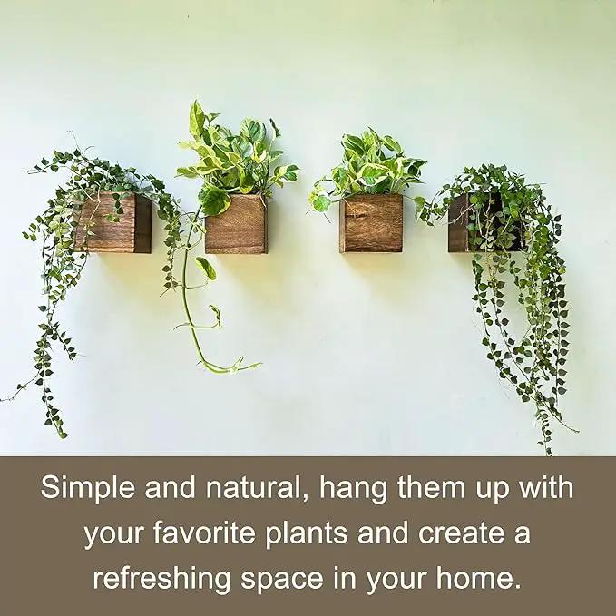 LaLaGreen Wood Planter Boxes (4 Pack, 4x4 Inch) Small Square Wooden Wall Mounted Flower Pot for Indoor Plants, Window Box Mount Hanging Herb Planters Outdoor Plant Holder Vertical Garden Home Decor by GreenHaven Gardens