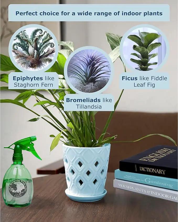 Whispering Winds Ceramic 5 x 6 Inch Orchid Pot with Holes & Saucer for Aeration and Drainage - Decorative Orchid Pots for Repotting, Prevent Over Watering & Root Rot (Charlotte Blue) by GreenHaven Gardens