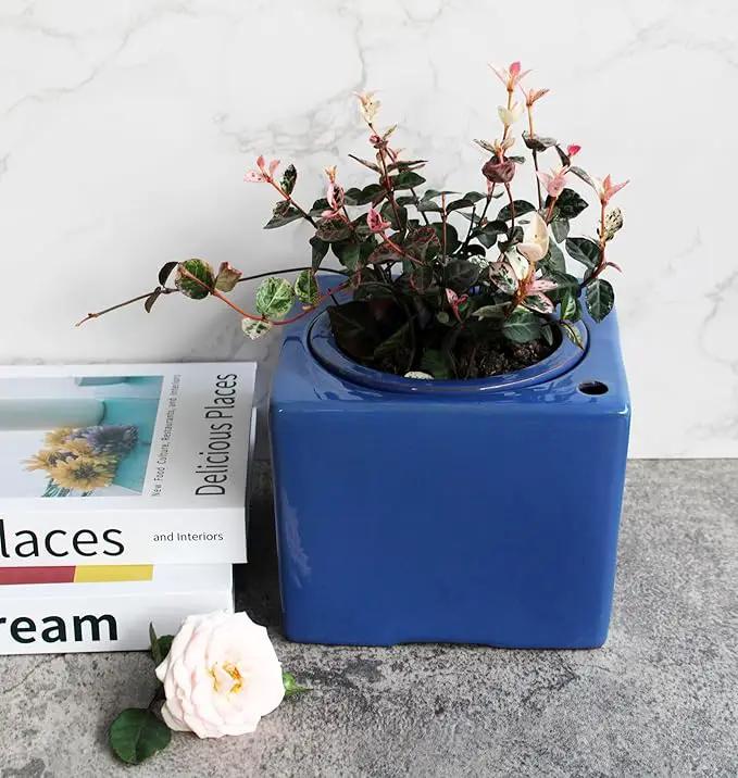 Ceramic African Violet Self Watering Pot 6 Inch Square Pot 3.5 Inch Innter Pot Easy Fill Water Reservoir Blue by GreenHaven Gardens