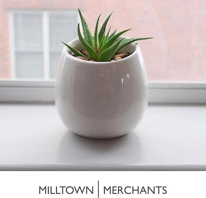 Milltown Merchants Succulent Wall Planter - Black Ceramic Wall Mounted Planter - Succulent Plant Pot - Hanging Vase for Living Wall (1 Pack/Modern/White) by GreenHaven Gardens