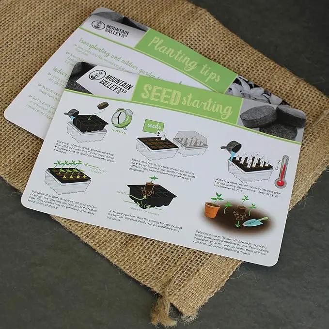 Culinary Indoor Herb Garden Starter Kit | Basic Herb Seeds | 6 Non-GMO Varieties | Grow Cooking Herbs & Spices | Seeds: Basil, Dill, Parsley, Chives, Mustard, Oregano by GreenHaven Gardens