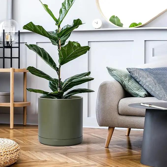 D'vine Dev 12 Inch Ceramic Planter Pot with Drainage Hole and Saucer, Indoor Cylinder Round Planter Pot, Olive, 94-O-F-J by GreenHaven Gardens