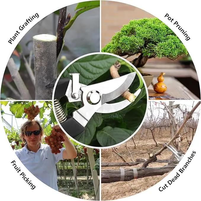 Garden Scissors for Plant, Tip Pruning Shears for Cutting Flowers, Trimming Plants, Bonsai and Fruits Picking (Black Bypass Blade Pruner) by GreenHaven Gardens