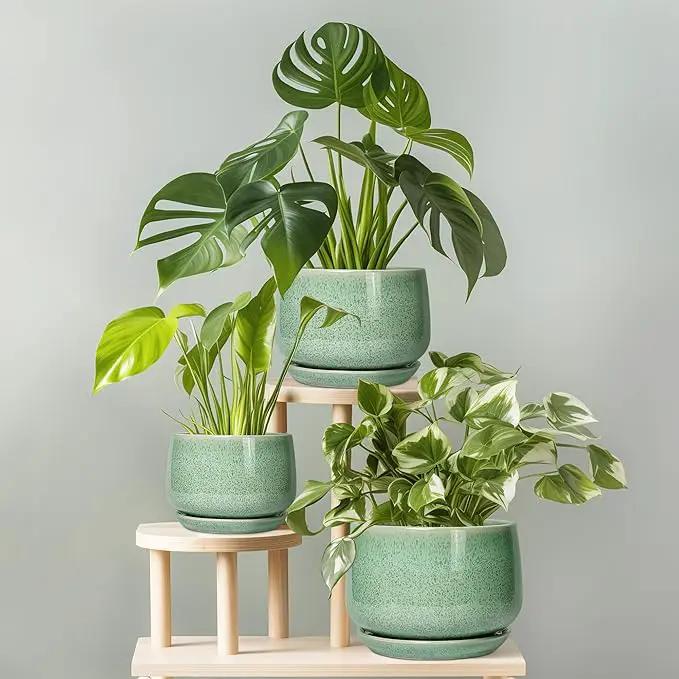 G EPGardening Ceramic Plant Pot - 7 Inch Ceramic Planter for Indoor Outdoor Plants, Flower Pot with Drainage Hole and Tray, Modern Round Planter, Plants Lovers Gifts, Home Garden Decor, Green by GreenHaven Gardens