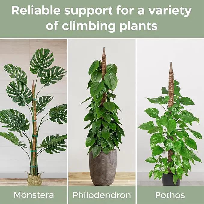 48'' Bendable Moss Pole Monstera Plant Support for Climbing Indoor Plants - Stakes for Potted Climbers - Tall Sticks Indoor Trellis for Houseplants - Accessories for Monstera Pot by GreenHaven Gardens