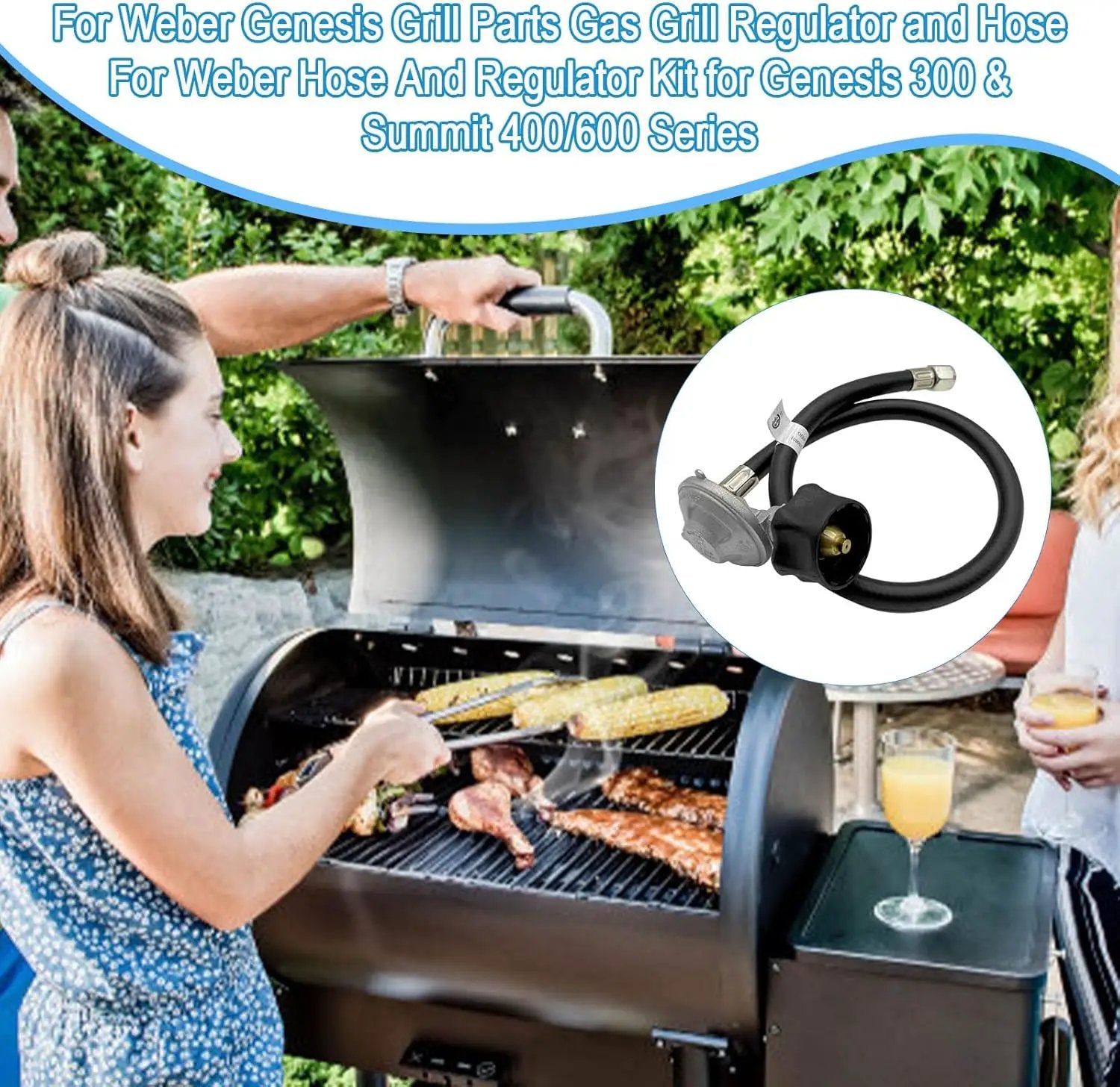 Upgraded for Weber Hose and Regulator kit, for Genesis 300 & Summit 400/600 Series for Weber Grill Regulator and Hose, for Genesis and Summit Series Gas Grills Including Silver Gold Platinum. by GreenHaven Gardens