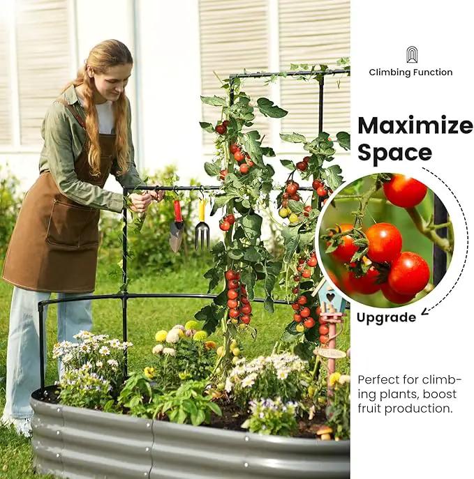 KING BIRD Raised Garden Bed with Wall Trellis Galvanized Planter Garden Box Outdoor for Gardening, Climbing Vegetables, Flowers 5.9x2.95x0.98 Ft, Dark Grey by GreenHaven Gardens