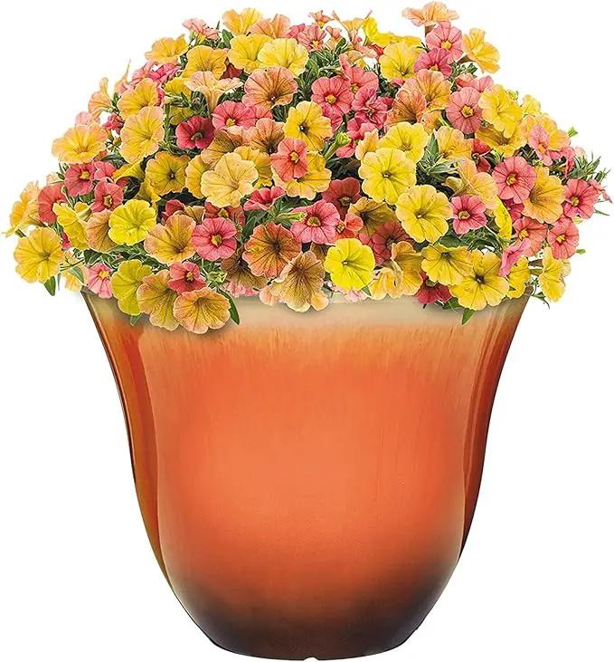 Classic Home and Garden Honeysuckle Resin Flower Pot Planter, Tequila Sunrise, 13" by GreenHaven Gardens
