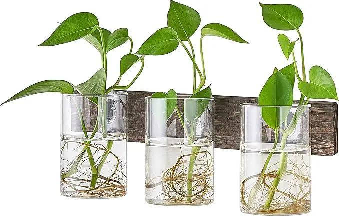 Mkono Propagation Station Wall Planter Glass Cylinder Vase Hanging Terrarium for Hydroponics Plant Cutting Indoor Outdoor Decor Brown, Plant Lover Gift by GreenHaven Gardens