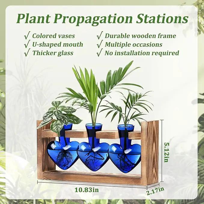 Lifecapido Heart Shaped Propagation Stations, Plant Terrarium with Wooden Stand, Plant Propagation Station for Hydroponics Plants Office Garden Home Decor, Gifts for Women Plant Lover (3 Vases, Blue) by GreenHaven Gardens