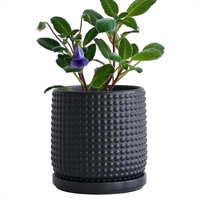 D'vine Dev 6 Inch Ceramic Beaded Stoneware Planter Pot - Flower Pot with Drainage Holes and Saucers for Indoor Succulent Plants or Flowers, Ebony Matte, 27-C-X-6 by GreenHaven Gardens