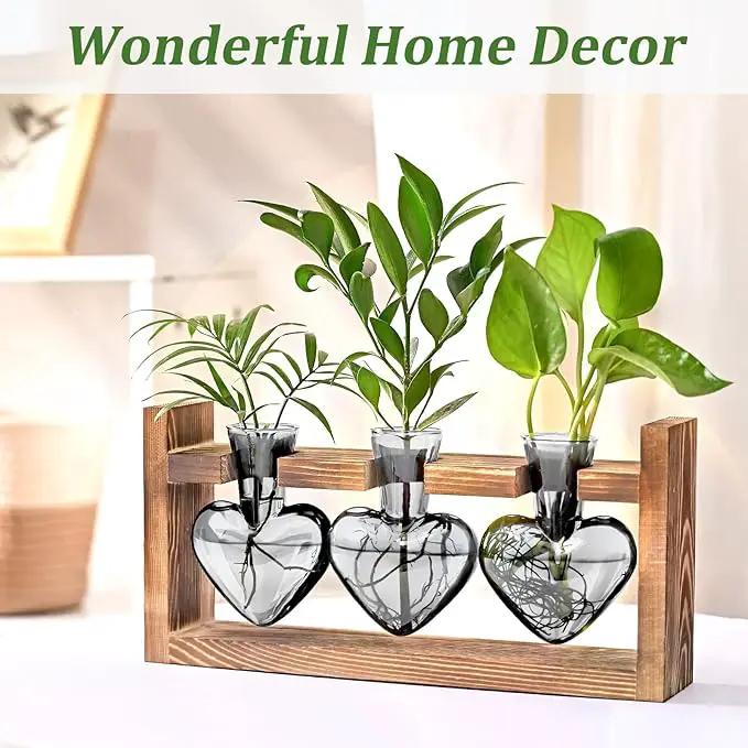 Lifecapido Heart Shaped Propagation Stations, Plant Terrarium with Wooden Stand, Plant Propagation Station for Hydroponics Plants Office Garden Home Decor, Gifts for Women Plant Lover (3 Vases, Gray) by GreenHaven Gardens