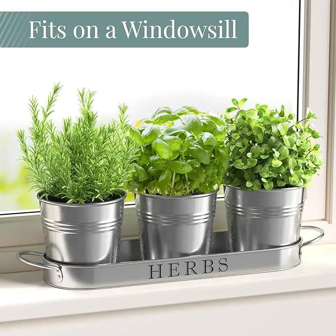 Barnyard Designs Indoor Herb Garden Planter Set with Tray, Metal Windowsill Plant Pots with Drainage for Outdoor or Indoor Plants, Set/3 (Galvanized) by GreenHaven Gardens