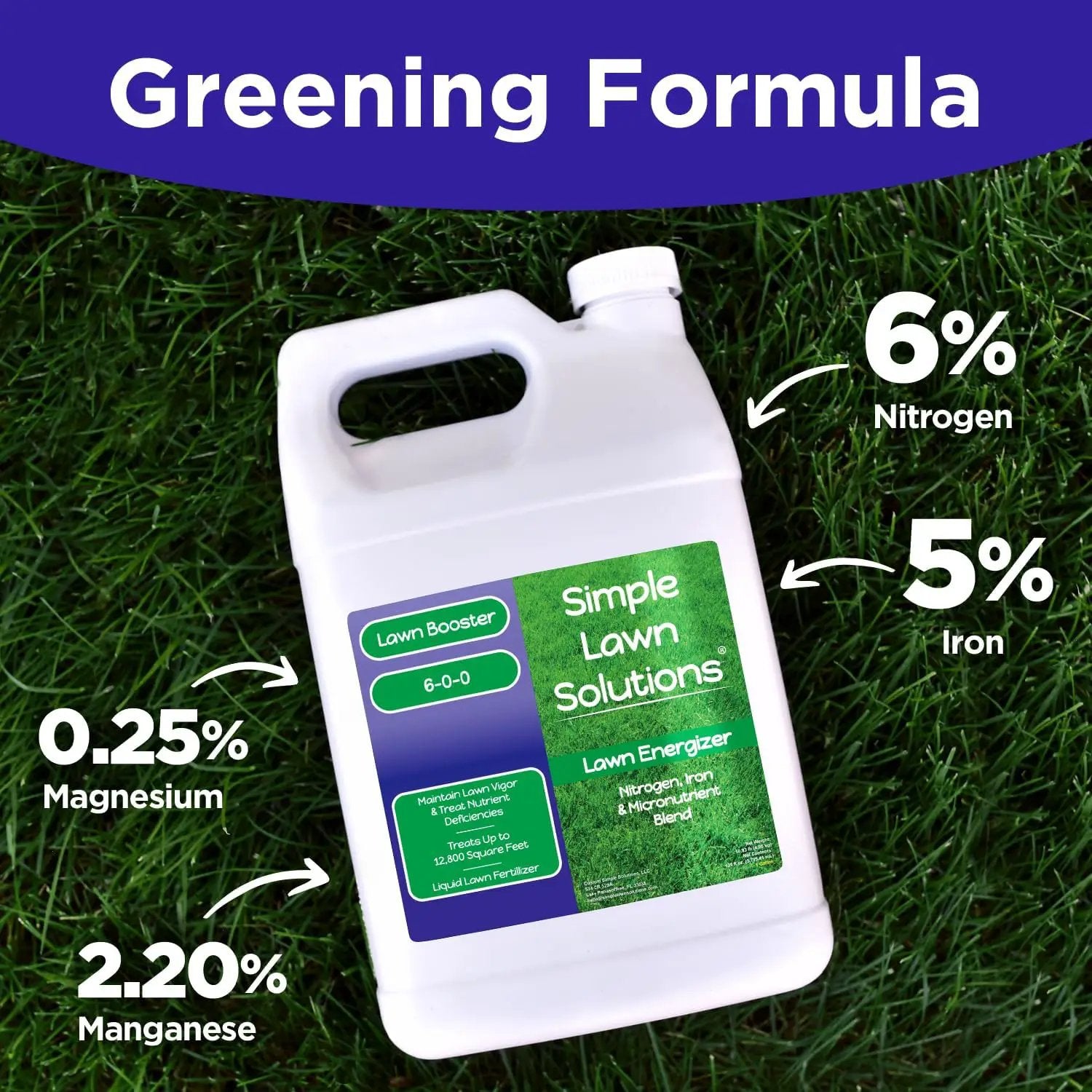 Commercial Grade Lawn Energizer - Grass Fertilizer Booster with Nitrogen, Iron, Micronutrients - Liquid Turf Spray Concentrated Fertilizer- Any Grass Type - Simple Lawn Solutions (1 Gallon) by GreenHaven Gardens