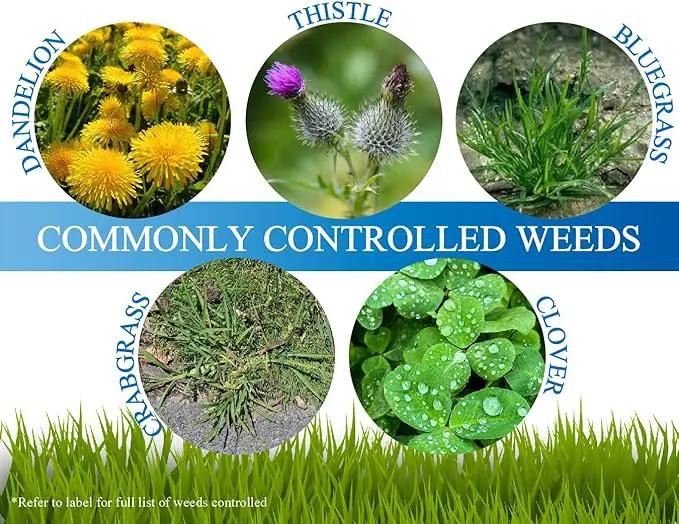 Mesotrione - 16 Ounces - (Compare to Tenacity) - Turf Herbicide by GreenHaven Gardens