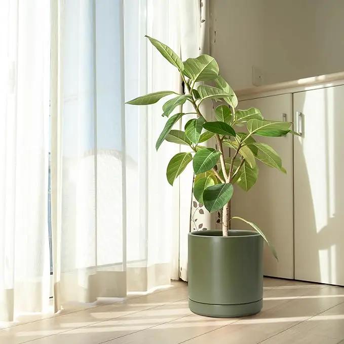 D'vine Dev 10 Inch Ceramic Planter Pot with Drainage Hole and Saucer, Indoor Cylinder Round Planter Pot, Olive, 94-O-E-J by GreenHaven Gardens
