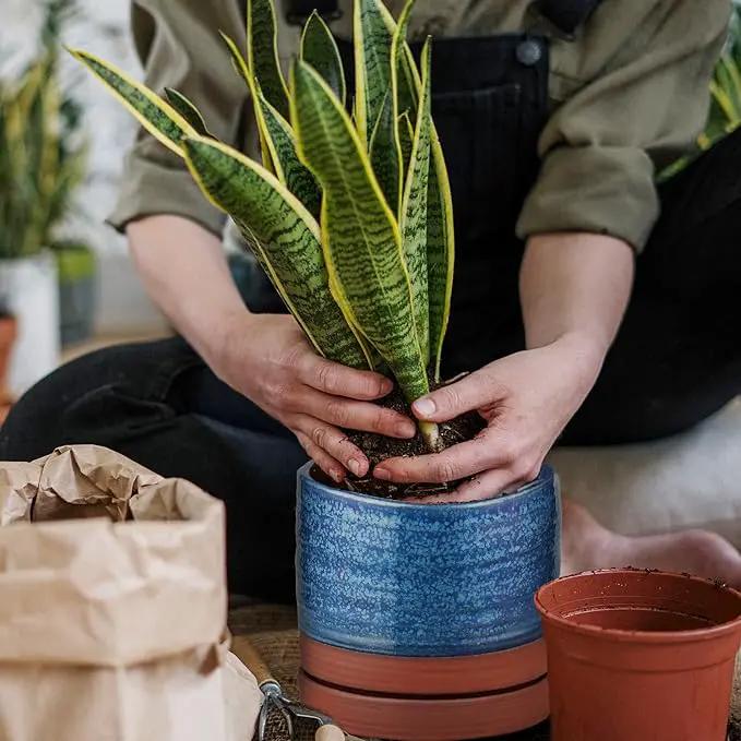 6 Inch Plant Pots, Ceramic Planter Pot with Drainage Hole & Saucer, Indoor/Outdoor Cylinder Round Planter Pot, Aqua Blue & Terracotta Red by GreenHaven Gardens