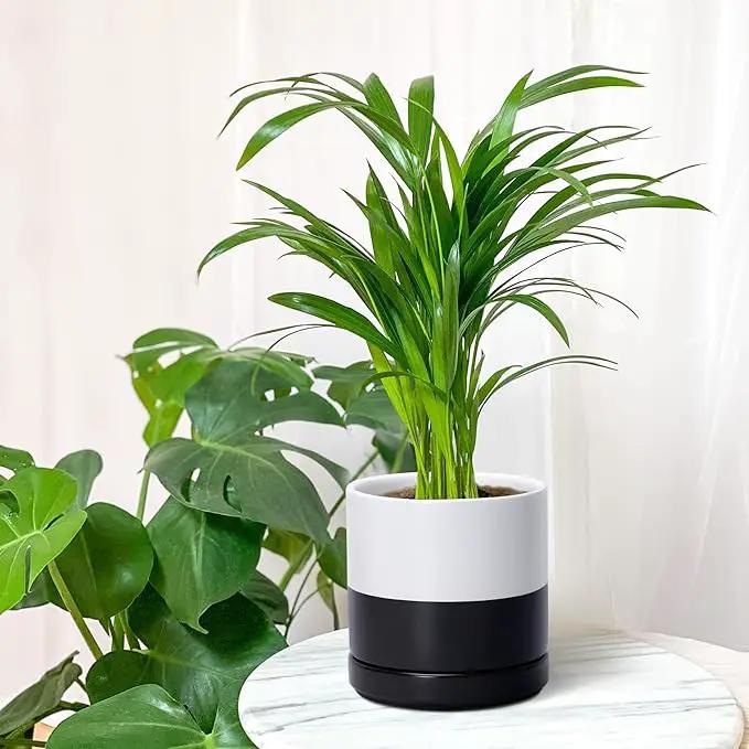 D'vine Dev 6.5 Inch Ceramic Planter Pot with Drainage Hole and Saucer, Indoor Cylinder Round Planter Pot, Layered Monochrome Black & White, 94-O-C-L by GreenHaven Gardens