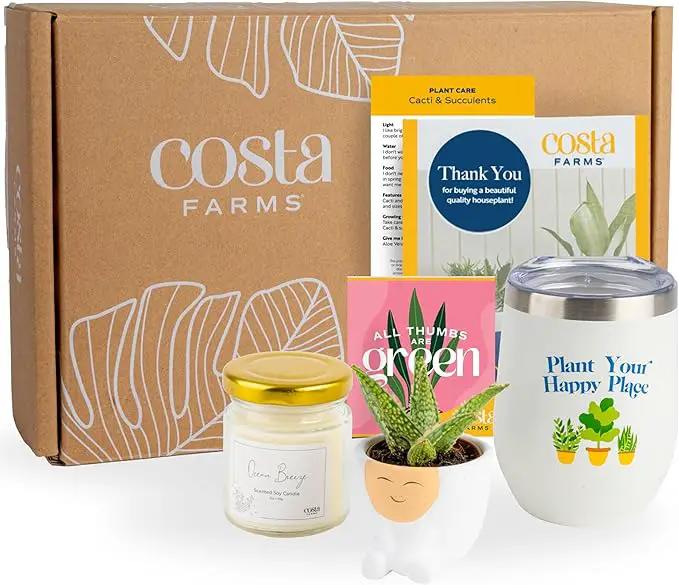 Costa Farms Live Plant Gift Box, Succulent Live Indoor Houseplant, Perfect Birthday and Holiday Gift, Includes Mini Succulent, Insulated Tumbler, Soy Candle, Collectible Sticker, Cute Room Decor by GreenHaven Gardens