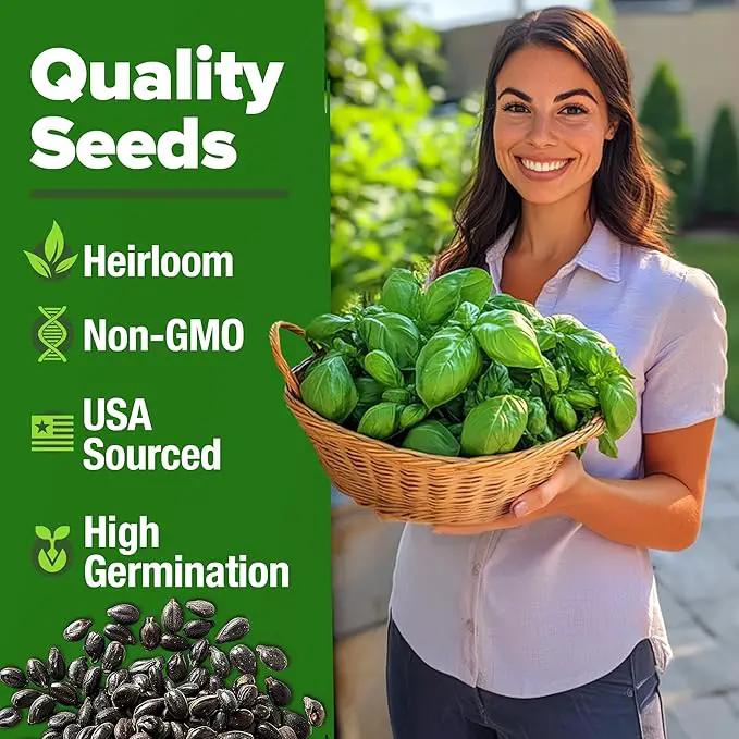 HOME GROWN Genovese Basil Seeds 2 Pack - 3500 𝗡𝗢𝗡-𝗚𝗠𝗢 𝗨𝗦𝗔 Heirloom Basil Seeds for Planting (Ocimum basilicum) - Herb Seeds for Indoor & Outdoor Gardening - Grow for Culinary Use by GreenHaven Gardens