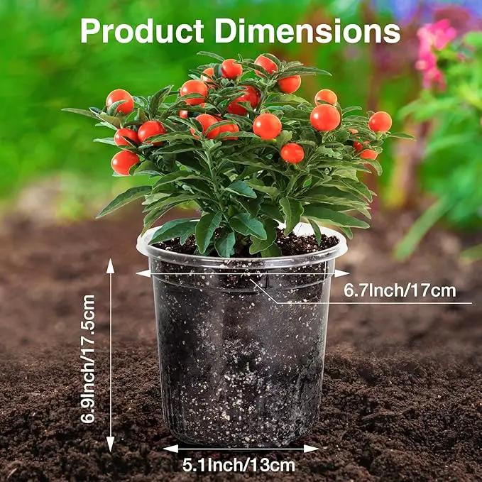 Bonviee 1 Gallon Clear Nursery Pots, 6.7 Inch Plastic Seedling Pots with Drainage Holes, Planters for Indoor Plants and Small Seed Starters, High Transparency Flower Pots with 10 Plant Labels, 20 Pack by GreenHaven Gardens