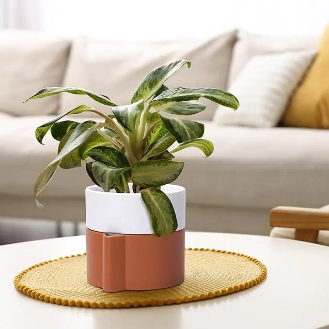 6.5 Inch Self-Watering Planter Pot with Terracotta Insert, Deep Water Reservoir, and Ceramic-Alike BPA-Free Plastic Pot for Plant, Modern Planter for Houseplants, Terracotta/White, 53-B-S-6 by GreenHaven Gardens