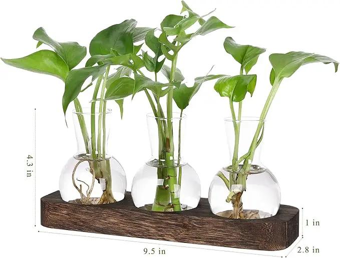 YIBOT Propagation Stations,Plant Propagation Vase,Desk Plant Terrarium with Retro Wooden Stand,Plant Lover Gifts for Women for Hydroponics Plants Home Garden Wedding Decor(3 Vase) by GreenHaven Gardens