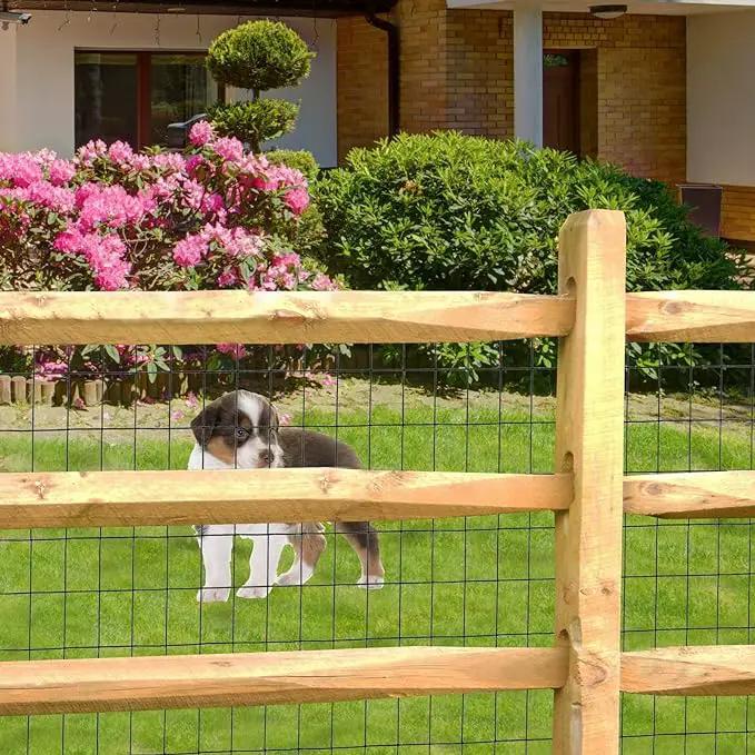 Black PVC Coated Welded Wire Fence 48 Inch x 25 Foot, 2 Inch x 3 Inch 16GA, Garden Border Fencing Roll Vinyl Coating Metal Wire Mesh for Yard Vegetable Plant Protection Poultry Netting by GreenHaven Gardens
