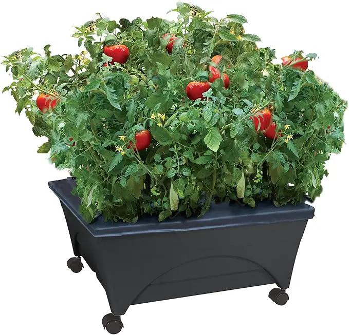 Emsco Group City Picker Raised Bed Grow Box – Self Watering and Improved Aeration – Mobile Unit with Casters by GreenHaven Gardens