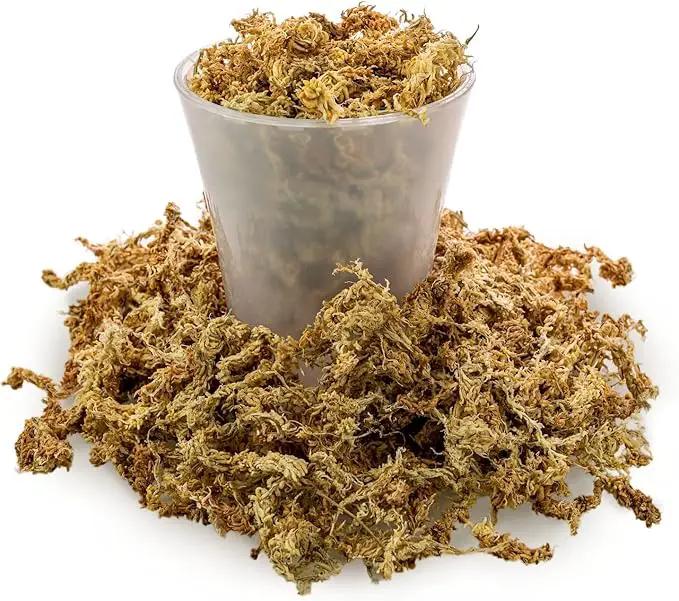 Premium New Zealand Sphagnum Moss - Organic Hand Mixed Long Fibered Sphagnum Moss Orchid - 3 Quart by GreenHaven Gardens