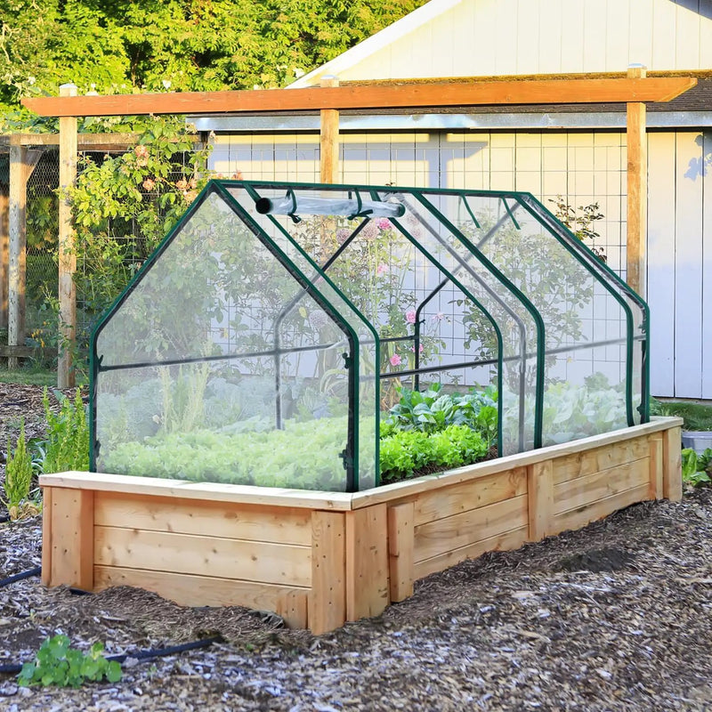 Ohuhu Portable Mini Greenhouse, 71"x36"x36" Greenhouses for Outdoors with Dual Large Zipper Doors & Ground Stakes, Waterproof & UV Protected Plastic Green House for Outside Garden Patio Transparent by GreenHaven Gardens