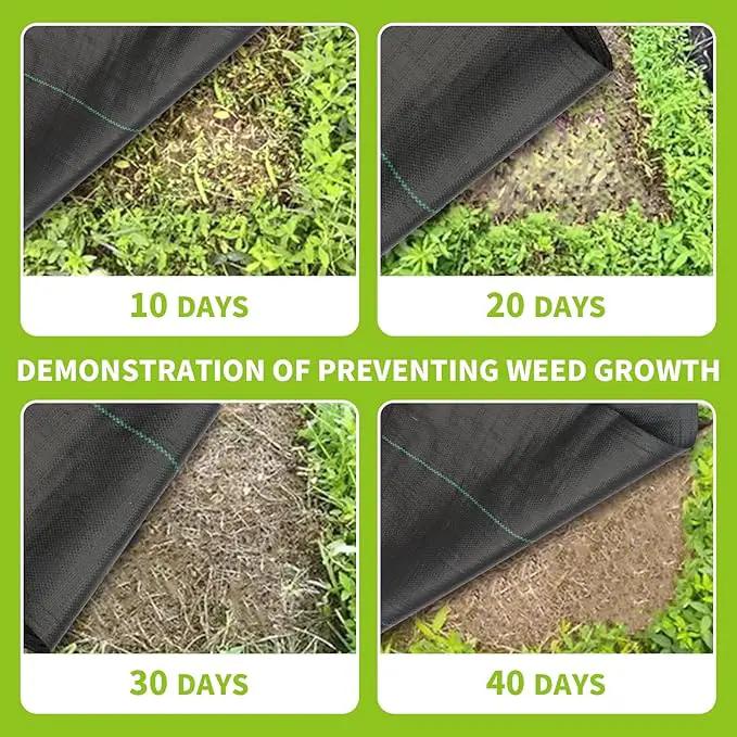 3x100ft 3.2OZ,Weed Barrier Landscape Fabric Heavy Duty, Woven Weed Control Fabric, High Permeability Good for Flower Bed, Geotextile Fabric Underlayment, Driveway (6.5ft*32ft) by GreenHaven Gardens