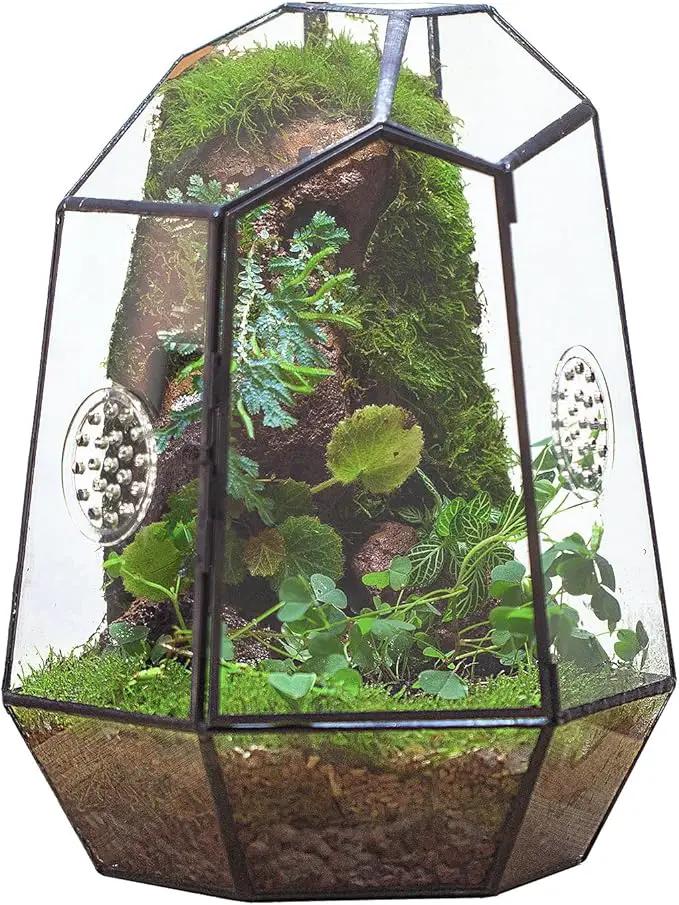 NCYP Closed Geometric Glass Enclosure with Front Opening Door & 2 Vent Holes for Insects, Succulent, Cacti - 7.9"x6.9"x9.8" Black Irregular Terrarium Planter - Home Garden Tabletop Decor (No Plants) by GreenHaven Gardens