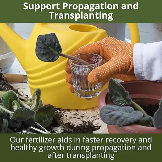 3-1-2 African Violet Fertilizer for Indoor Plants: Liquid Fertilizer with Essential Micronutrients Drops - Plant Food for African Violets (32 OZ) by GreenHaven Gardens