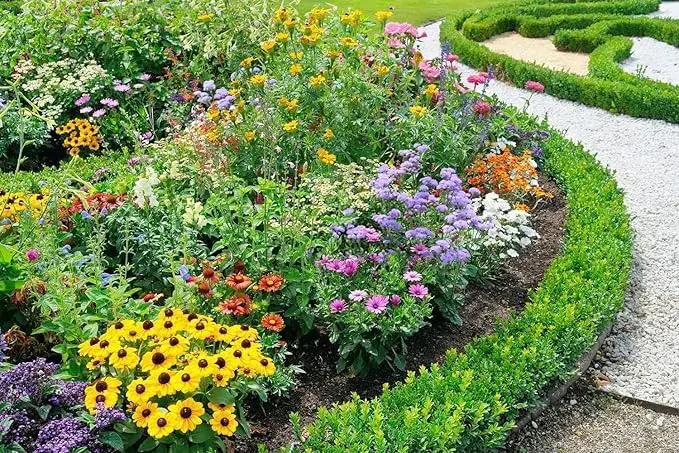 10000+ Perennial Mix Wildflower Seeds 16 Assorted Varieties of Heirloom Flower -1oz Zinnia Poppy Crimson Clover Milkweed Lupine Marigold Mexican Hat Sage Nasturtium by GreenHaven Gardens