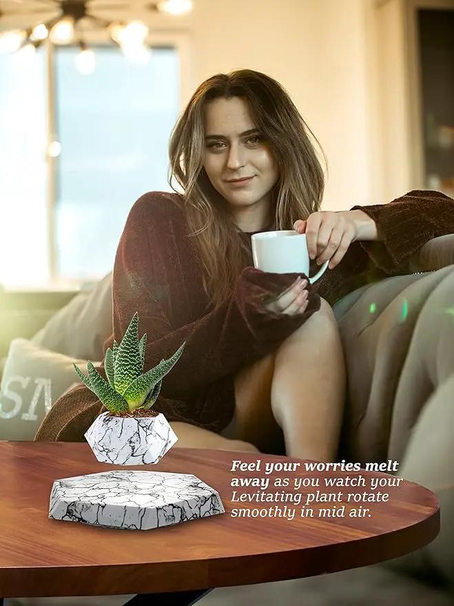 BandD Plant Pot for Succulents, air Bonsai & air Plants. Planter for Home, Office & Desk Decor. Magnetic Floating Levitating Display. (Marble) by GreenHaven Gardens