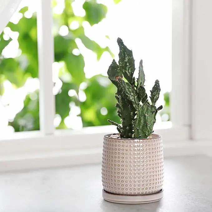 D'vine Dev 4 Inch Ceramic Beaded Stoneware Planter Pot - Flower Pot with Drainage Holes and Saucers for Indoor Succulent Plants or Flowers, Light Brown, 27-C-Z-4 by GreenHaven Gardens