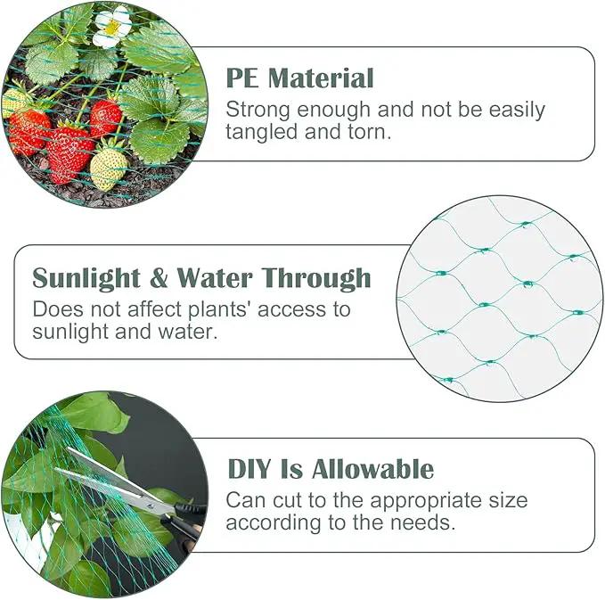 CandyHome 13Ft x 33Ft Anti Bird Protection Mesh Garden Netting Seedlings Plants Flowers Fruit Trees Vegetables from Rodents Deer Reusable Fencing, Green by GreenHaven Gardens