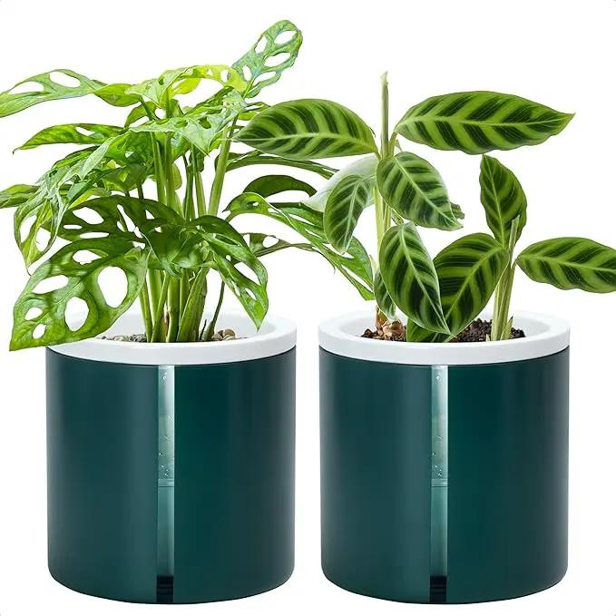 D'vine Dev 6 Inch Design Self Watering Planter for Indoor Plants, White Terracotta Pot with Teal Cylinder Glass Cup, Set of 2, 37-Y-B-5 by GreenHaven Gardens