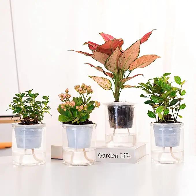 ORIMERC 150 feet 1/6 inch Self Watering Capillary Wick Cord Vacation Plant Sitter DIY Hydroponic Wicking Rope Seeds Start Planter Pot Automatic Potted Flower Passive Lazy Waterer String System Device by GreenHaven Gardens