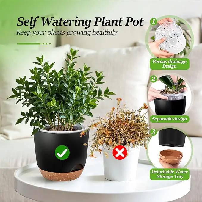 Self Watering Orchid Pots for Indoor Plants,5.8 Inch Macetas para Orqudeas,Flower Pots for Indoor Plants with Holes(Black) by GreenHaven Gardens