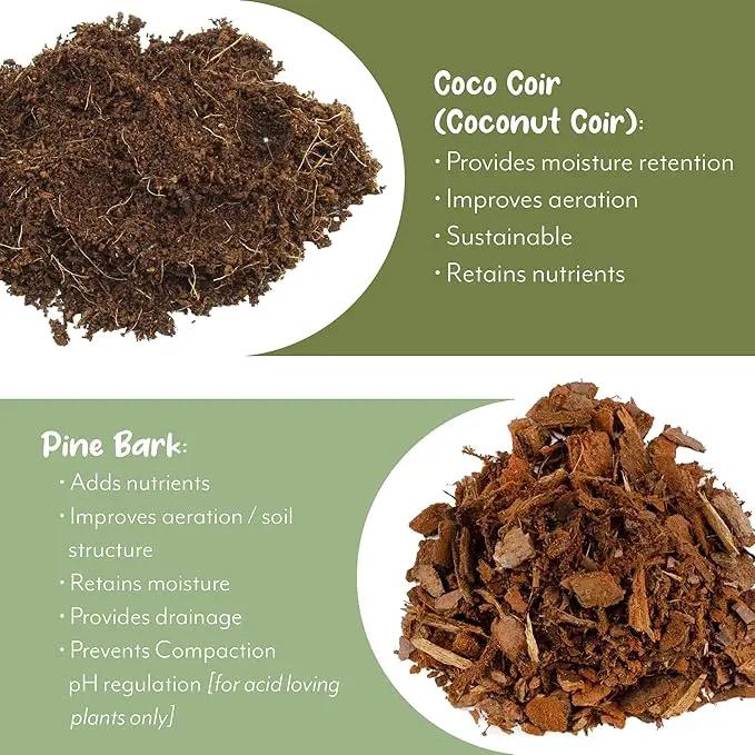 Aroid Plant Potting Soil Mix (8 Quarts), for Pothos Devil's Ivy, ZZ Plant, Chinese Evergreen, Dumb Cane, Philodendron, Syngonium, Alocasia, Colocasia Etc. by GreenHaven Gardens