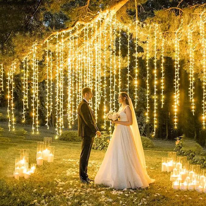 100ft 300 LED String Lights Outdoor Indoor Waterproof Clear Wire Christmas String Lights, Plug in Warm White Twinkle Fairy Lights for Bedroom Wedding Tree Christmas Decorations by GreenHaven Gardens