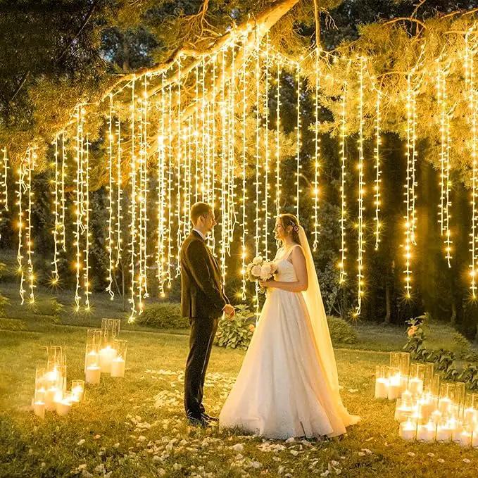 66ft 200 LED String Lights Indoor Clear Wire, 8 Modes Warm White Christmas String Lights Plug in Fairy Lights for Bedroom, Waterproof Twinkle Light for Classroom Tree Holiday Christmas Decorations by GreenHaven Gardens