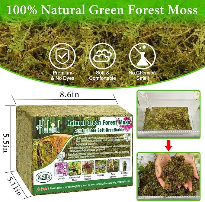 Halatool 2.2LB Forest Moss for Plants Indoor, 50QT Orchid Moss for Potting Mix, Natural Dried Sphagnum Moss Bulk for Moss Pole Succulents Garden Flowers Reptiles by GreenHaven Gardens