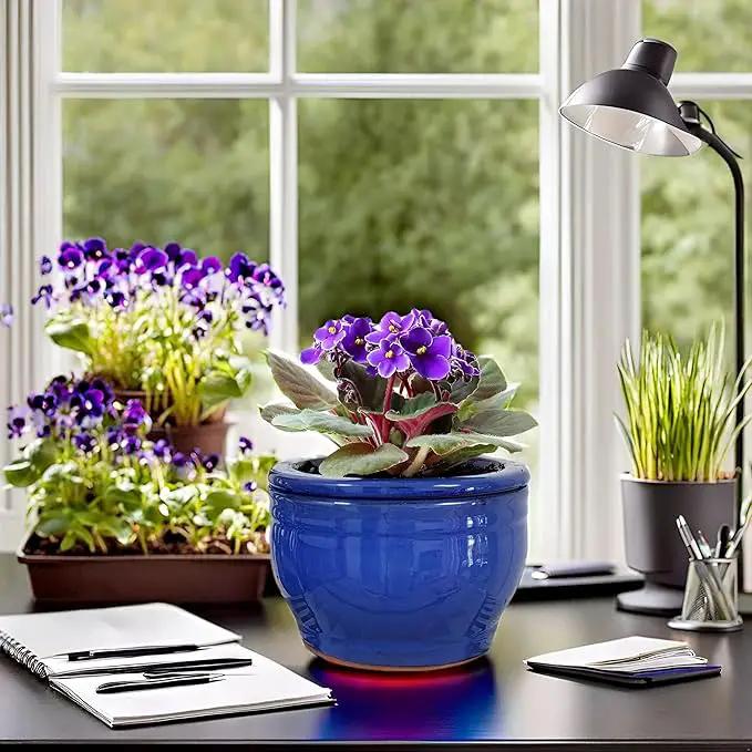 African Violet Pots Self Watering Round Ceramic Violet Pot (Blue, 6 inch) by GreenHaven Gardens